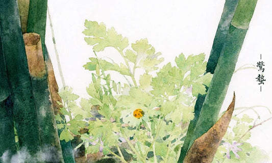 Jingzhe (Awakening of Insects)