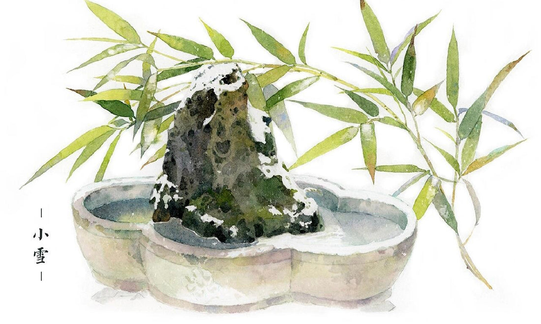 Xiaoxue (Minor Snow)