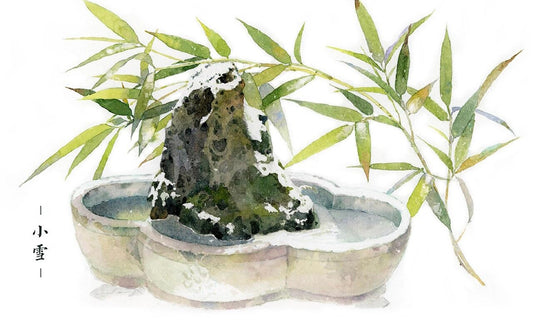Xiaoxue (Minor Snow)