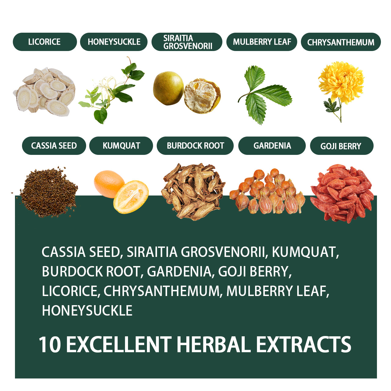 Organic Monk Fruit Herbal Tea Honeysuckle Kumquat & More Blend of 10 Ingredients