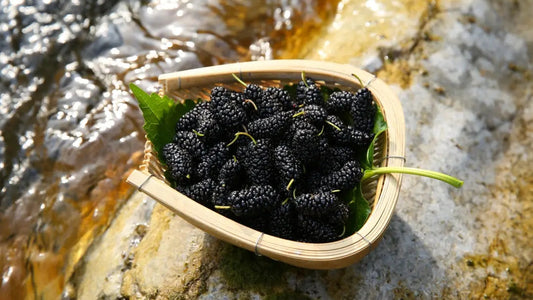 Beyond the Superfood Hype: The Real Herbs Backed by History