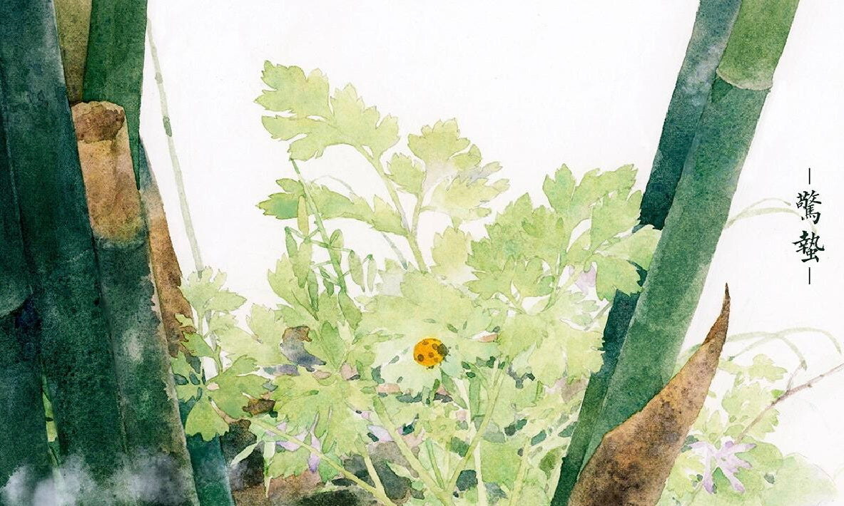 Jingzhe (Awakening of Insects)