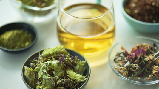 The Liver’s Best Friend: Unlocking the Secrets of Dandelion & Herbal Synergy