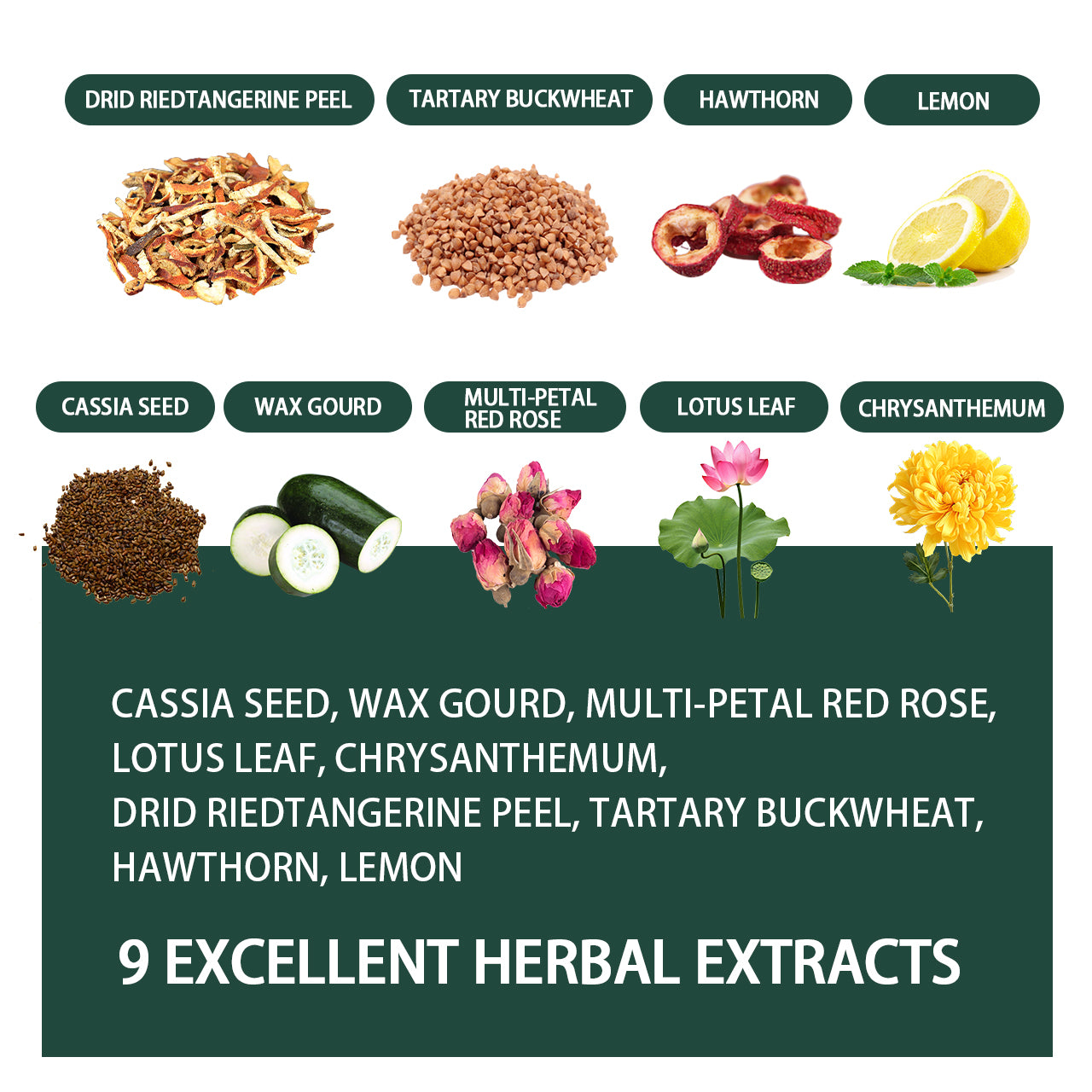 Cassia Seed
Winter Melon (Wax Gourd)
Multi-petal Red Rose
Lotus Leaf
Chrysanthemum
Buckwheat
Hawthorn
Lemon
Dried Tangerine Peel (Chenpi)